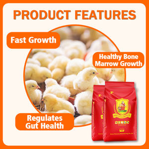 Premezcla de Iniciación para Pollitos al 5% para Gallinas Ponedoras: Aditivos Nutricionales para Alimentos Avícolas |   Estimulante del Crecimiento y Promotor del Desarrollo de Pollitos - Product Image 4