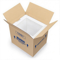 Cajas Térmicas para Alimentos Congelados, Cajas de Transporte para Cadena de Frío, Cajas de Envío Reutilizables de Espuma de Poliestireno