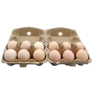Paper Pulp Chicken Eggs Trays Carton GPM Eco-friendly & Biodegradable Recyclable Paper 12 Eggs for 6+6 Holes 310*260*70mm