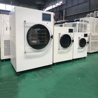 Petite machine de lyophilisation, sécheur à vide industriel pour fruits, machine de lyophilisation à vendre