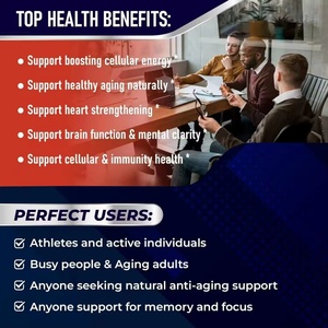 NAD 90 <b>Capsules</b> Niacinamide Enhance Cellular Energy Antioxidant Properties Plant Extracts Food Grade nad supplements - Product Image 4