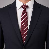Erkek Polyester Hazır Kravat Jakarlı Düz Fermuarlı Kravat Özel Logo OEM Toptan İş Düğün Kravatı