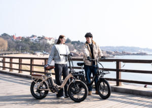 Vélo électrique pliable KOOLUX X16 48V 250W avec pneus larges, moteur à moyeu arrière, frein à disque, couleur personnalisée, pour les trajets urbains - Product Image 6