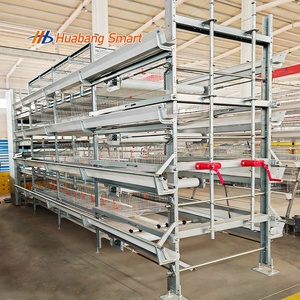 Système complet de cages automatiques en H pour poulets de chair, en treillis soudé, avec système d'évacuation du fumier, galvanisé à chaud, pour élevage avicole - Product Image 5