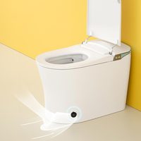 MWD OEM&ODM CUPC Watermark CE Lampe d'ambiance dynamique Toilettes intelligentes avec réservoir d'eau intégré Toilette électrique intelligente pour salle de bain
