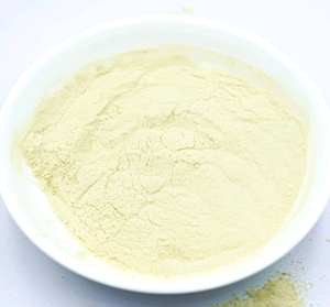 Bubuk Ekstrak <span class=keywords><strong>Chlorella</strong></span> (Faktor Pertumbuhan <span class=keywords><strong>Chlorella</strong></span> CGF ) OD1200 - Product Image 5