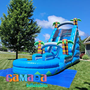 Tobogán de agua inflable para piscina, tobogán de agua inflable comercial, castillo hinchable para saltar, puente de Casa de rebote grande y barato para adultos - Product Image 1