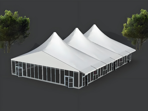 Estructura Tensada Arquitectónica de Diseño Personalizado en Acero para Plazas Urbanas y Atracciones Turísticas - Product Image 3