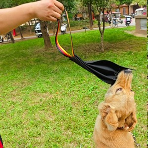 Jouet d'entraînement pour chien en cuir <span class=keywords><strong>Crazy</strong></span> Horse, jouet interactif à mâcher et à tirer, aide à l'entraînement durable pour les chiens de travail et l'exercice quotidien - Product Image 3