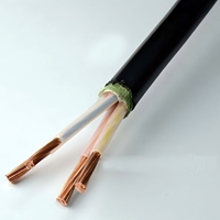 Câble d'alimentation aérien YUWAN YJV2*6+1*2.5, 450V basse tension, en cuivre pur, isolé PVC, ignifuge, classe de résistance au feu