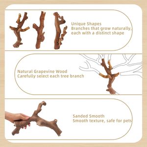 Holz-Kletterzweige für Hamster, Natürliche Holzspielzeuge zum Klettern und Kauen für Syrische Hamster, Übungsspielzeug für Ratten - Product Image 6