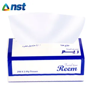 REEM 品牌 200 张 2 层软面巾纸中国组织制造