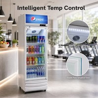 Réfrigérateur vertical commercial à porte vitrée, refroidissement direct, 400L, économie d'énergie, OEM