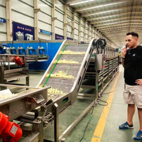 Ligne de production de frites à petite échelle à prix d'usine, machine de traitement de chips de pommes de terre, moteur inclus