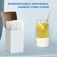 Nouvelle conception 2025 – Pailles en fibre de bambou naturel, écologiques, enroulées en spirale, pour boissons, diamètre 10 mm, forme longue et droite, pour bar