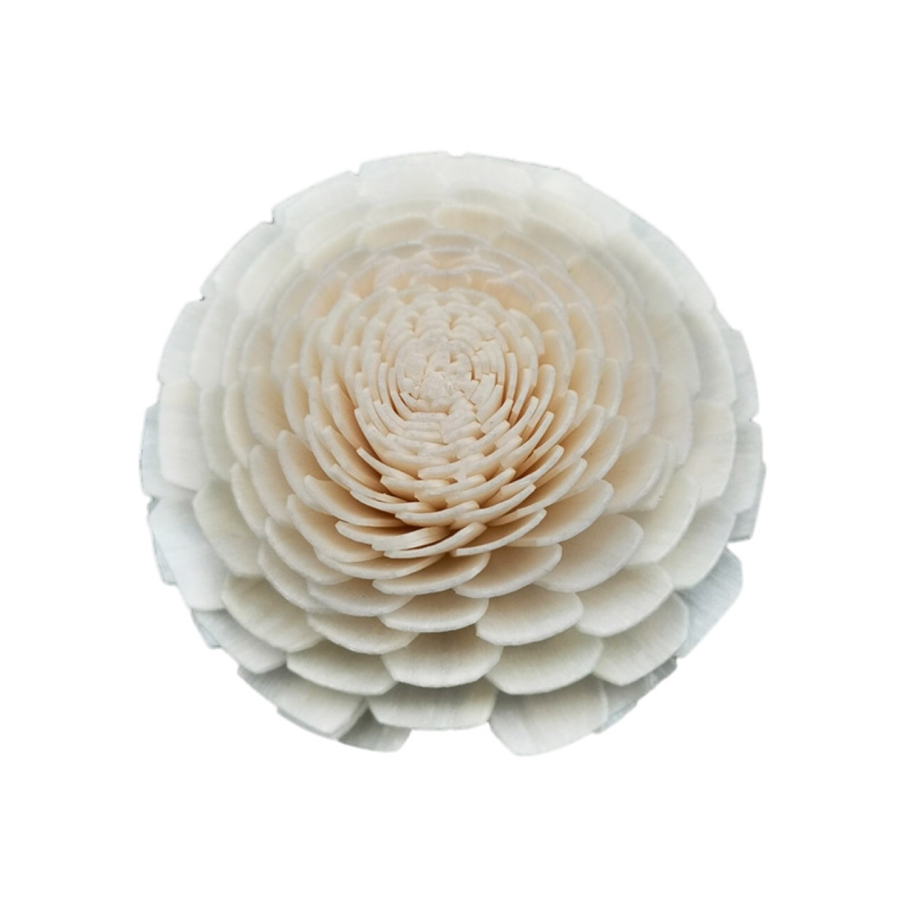 Tête de fleur blanche de 4.5cm