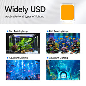 Chip <span class=keywords><strong>LED</strong></span> <span class=keywords><strong>SMD</strong></span> 2835 6V 1W 10000-15000K 75-85LM 150mA en Oferta - Product Image 6