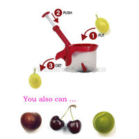 Handmatige kersen- en olijfpitter, plastic fruit- en groentegereedschap, creatief keukengeschenk, promotionele fabrikant