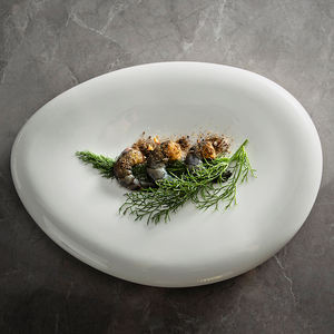 أطباق عشاء بيضاوية فريدة من السيراميك الأبيض البورسلين، للبيع بالجملة بأسعار رخيصة، مخصصة للمطاعم الفاخرة، ضمن عروض التصفية - Product Image 2