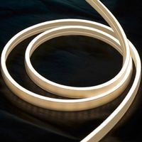 Bande LED RVB SMD flexible haute densité en silicone IP65 multicolore 24/12V DC, dimmable, certifiée CE/RoHS, garantie 2 ans pour l'aménagement paysager