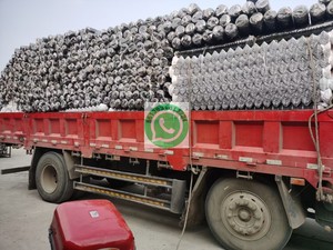 Hot Dipped Galvanized Cyclone Wire Mesh 8 ft <b>PVC</b> Coated Chain Link Fence <b>Roll</b> Metal Frame for Farm & Sport Fencing Accessories - Product Image 4