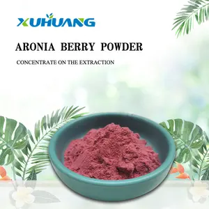 Gratis Verzending Best Selling Aronia Berry Powderblack Chokeberry Poeder