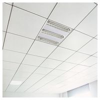 Prima Metal Material decorativo Techo Aluminio Caída Techo Azulejos 600X600 Clip en azulejos de techo falso suspendido