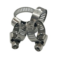 Collier de serrage en acier inoxydable T simple à double boulon 45mm robuste