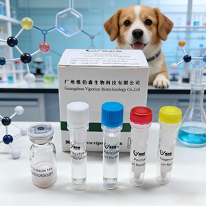 Kit de Prueba PCR Veterinaria Liofilizada en Tiempo Real para la Detección de Brucella <span class=keywords><strong>Canis</strong></span> en Perros y Gatos, para Uso Hospitalario/Clínico VIUICK (VIPOTION) - Product Image 1