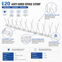 Púas Antipájaros de Acero Inoxidable con Base Transparente de PC, Resistentes a la Intemperie, Repelente de Palomas para Techos y Vallas