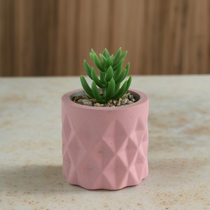 Suculentas artificiales en maceta de cemento Pequeña planta de <span class=keywords><strong>cactus</strong></span> artificial <span class=keywords><strong>para</strong></span> estante de sala de estar - Product Image 5