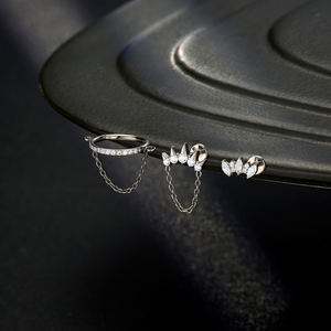 Bijoux <span class=keywords><strong>de</strong></span> perçage, boucles d'oreilles en titane ASTM F136, anneaux segmentés à charnière, boucles d'oreilles pendantes, perçage d'oreille en titane - Product Image 2