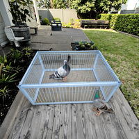 G-401-2 Cage à oiseaux pliable galvanisée pour attraper les pigeons sauvages de manière humaine avec entrée à sens unique pour attraper les pigeons et les oiseaux dans des cages