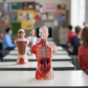 Modelo <span class=keywords><strong>de</strong></span> Torso <span class=keywords><strong>Humano</strong></span> Sin Sexo <span class=keywords><strong>de</strong></span> 26 CM, 15 <span class=keywords><strong>Partes</strong></span>, Modelo Anatómico <span class=keywords><strong>del</strong></span> <span class=keywords><strong>Cuerpo</strong></span> <span class=keywords><strong>Humano</strong></span> para Ciencias Médicas - Product Image 4