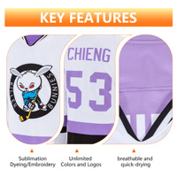 Maillot de hockey américain à col en V pour homme PUCKPROS, manches longues, numéro 100, polyester, anti-bactérien, vêtements de sport