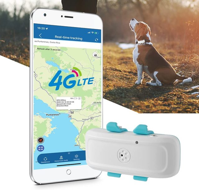 Real-Time GPS Tracking Device for Dogs Cats TK911pro 4G LTE Pet Tracker Waterproof GSM GPRS Positioning Free APP Platform for