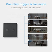 Interrupteur mural intelligent Tuya Zigbee 2 gangs, longue autonomie, double clic, liaison de scènes personnalisées, Smart Life