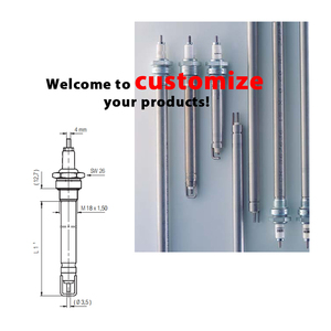 <span class=keywords><strong>Électrode</strong></span> d'<span class=keywords><strong>allumage</strong></span> isolée 100050-1 ODM OEM Chaudières d'<span class=keywords><strong>allumage</strong></span> à <span class=keywords><strong>gaz</strong></span> à double usage Partie <span class=keywords><strong>Électrode</strong></span> d'<span class=keywords><strong>allumage</strong></span> en céramique - Product Image 4