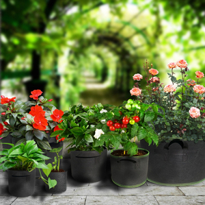 Vente en gros d'usine, culture <span class=keywords><strong>de</strong></span> pommes <span class=keywords><strong>de</strong></span> <span class=keywords><strong>terre</strong></span> en sacs, sacs <span class=keywords><strong>de</strong></span> culture respirants pour plantes, sacs <span class=keywords><strong>de</strong></span> culture en tissu non tissé, pot <span class=keywords><strong>de</strong></span> jardin potager - Product Image 6