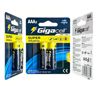 Pile Super Alcaline 1,5 V Taille AAA LR03 pour Claviers Sans Fil/Thermomètres Numériques