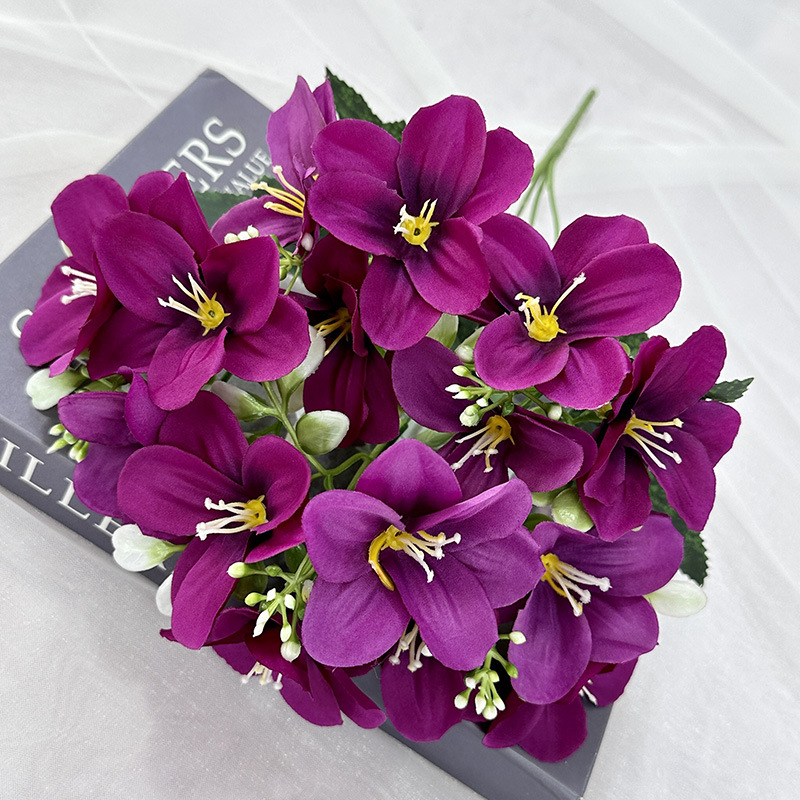 Viola scuro