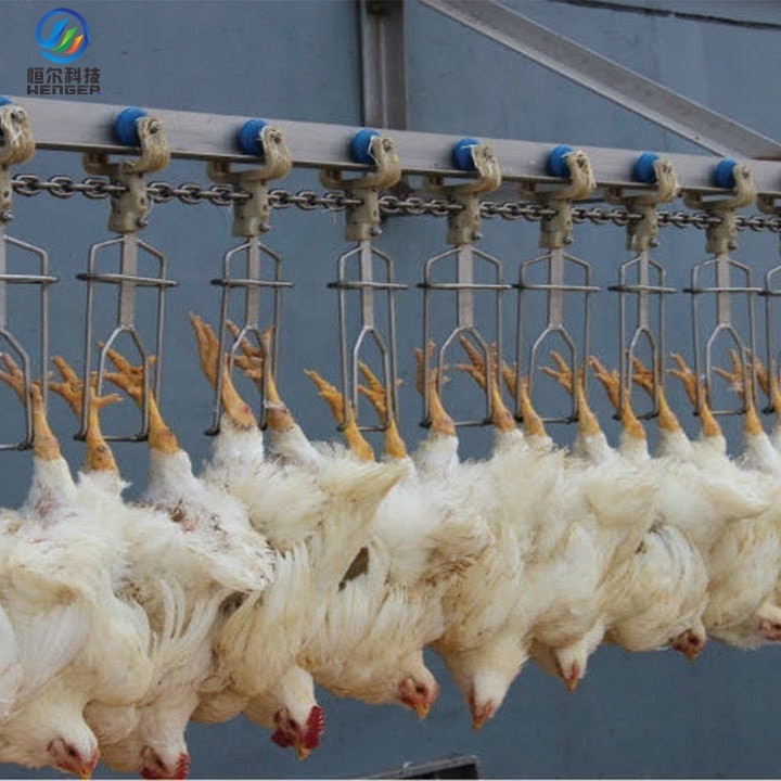 Automatic Meat Cutting Line Conveyor System