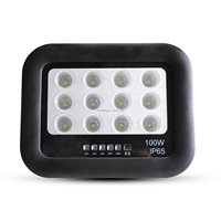 Heshi 100w a mené le réflecteur solaire extérieur d'ABS évalué par IP65 de lumière d'inondation solaire avec le panneau solaire portatif