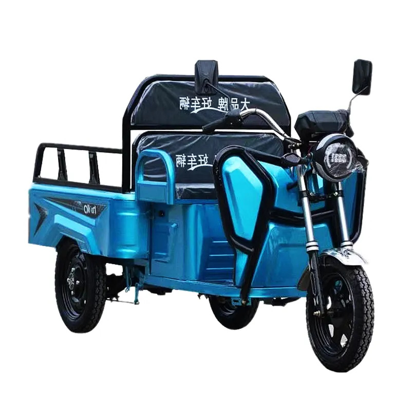 माल के लिए चीन में मोटर 48v 1000w इलेक्ट्रिक ट्राइसाइकिल