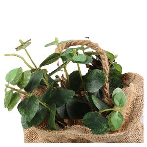 Funda para Macetas <span class=keywords><strong>de</strong></span> <span class=keywords><strong>Lino</strong></span>, Plegable, <span class=keywords><strong>de</strong></span> Yute, Ecológica, para Plantas Suculentas, Decoración del Hogar y Jardín - Product Image 6
