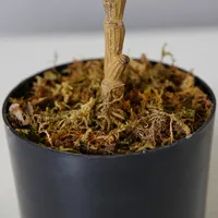 Arbre décoratif artificiel, 1 pièce, 70cm, fausses plantes, pour décorer la maison, prix de gros