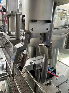 Machine de remplissage et d'emballage automatique pour huile moteur et graisse, 1 gramme, avec scellage central à l'azote pour flacons PP-4, pour rouges à lèvres bicolores - Product Image 2
