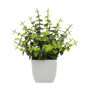 Piccolo Cespuglio di Eucalipto Artificiale Realistico e Durevole da 15cm in Plastica, 5 Vasi, per Interni, Scrivania, Tavolino, Bagno, Camera da Letto, Casa - Product Image 5