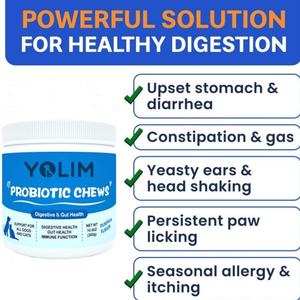 健康ペット健康補助食品犬ビタミン酵素ブレンド - Product Image 2