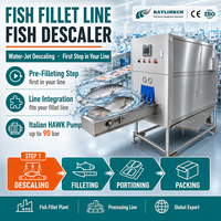 Descamadora de Pescado para Línea de Fileteado Automática Chorro de Agua Alta Presión Acero Inoxidable 304 Salmón Mojarra Carpa
